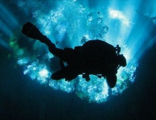  Plongée dans les cénotes 